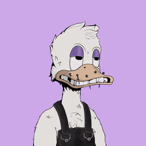 Downmarketducks