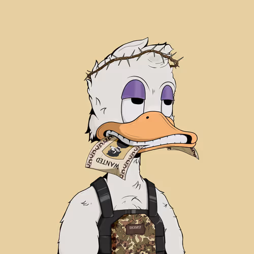Downmarketducks