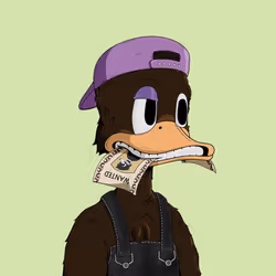 Down Market Ducks #3759
