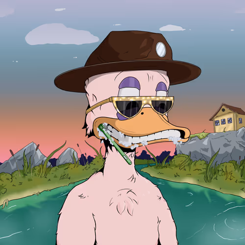 Downmarketducks