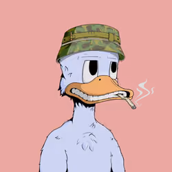 Down Market Ducks #4362