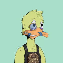 Down Market Ducks #1092