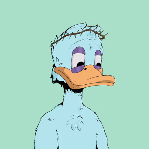 Downmarketducks
