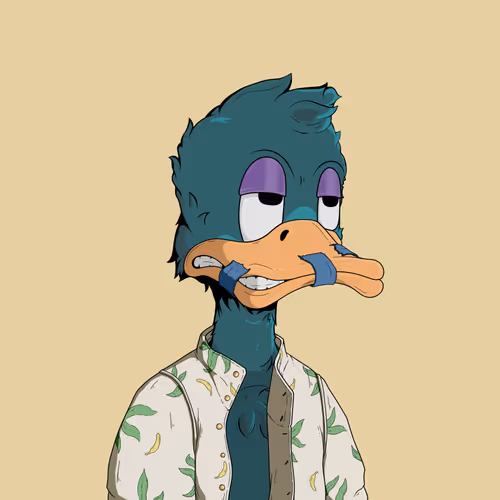 Downmarketducks