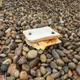 Crisp (Fly) Sandwich