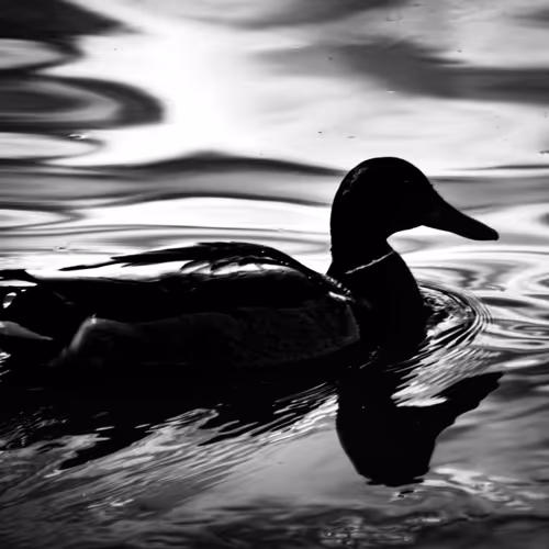 Out And About Editions