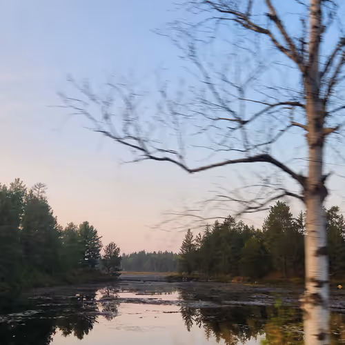 Canadian nature #4