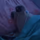 Pou