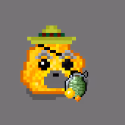Chonks Gold7437