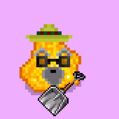 Chonks Gold