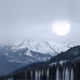 SOLANAdegens