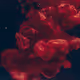 Crimson Red