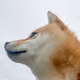 43645364246946000262973370139679837323370838093850195947622106982307673931781