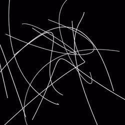 40874970610201688131191460868191266151815597676505285558328894187069177685077