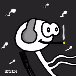 SFERM #1