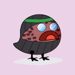 1153