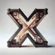 The X Robots