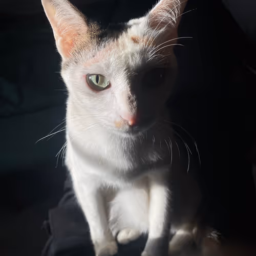 Zora Posts 12659