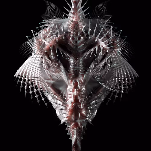 𝗠𝗘𝗧𝗔𝗠𝗢𝗥𝗣𝗛𝗢𝗦𝗜𝗦 𝗢𝗙 𝗦𝗣𝗜𝗖𝗨𝗟𝗢𝗥𝗔𝗘