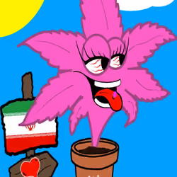 Kush Kard #558