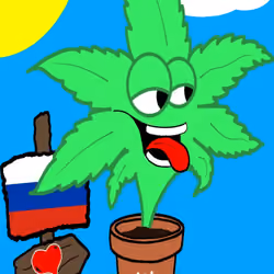 Kush Kard #131