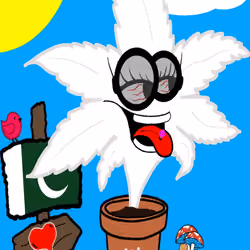 Kush Kard #115