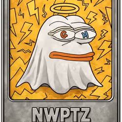 NWPTZ WORLD #919