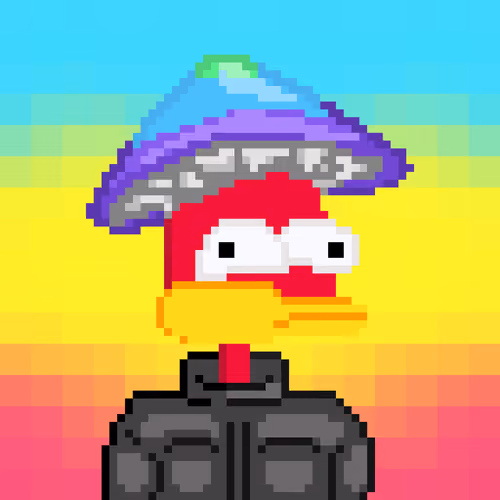 SupDuck 70