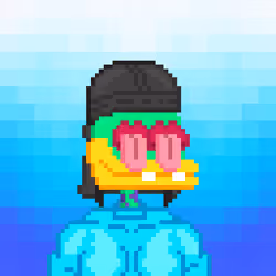 SupDuck 248