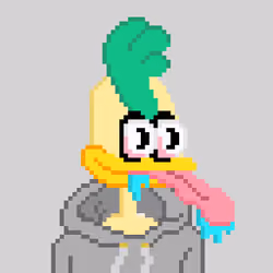 SupDuck 4901