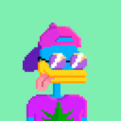SupDuck 5666