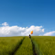 The colors of life
