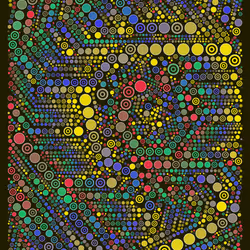 81