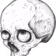 SkullieZ