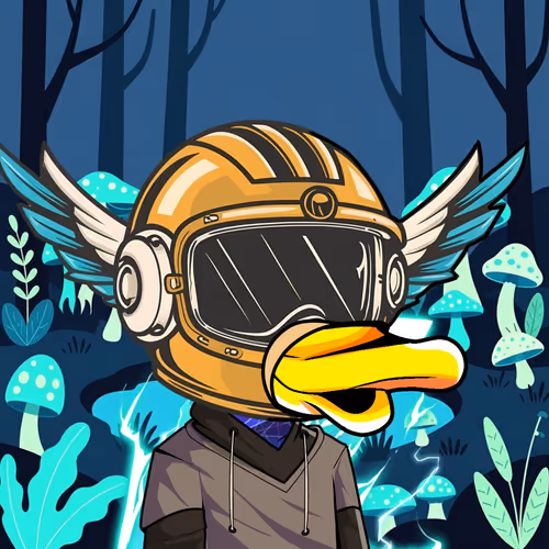 Duckies #667