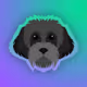 myro