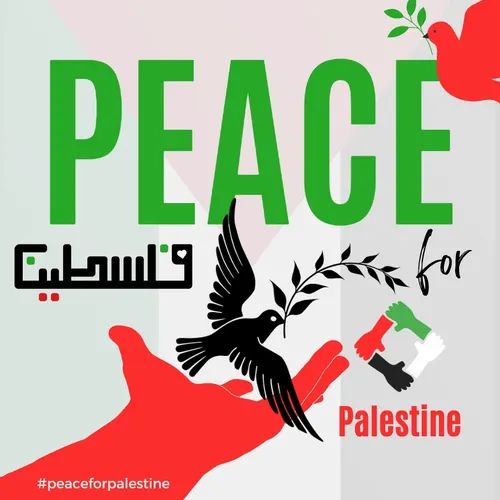 Peace for Palestine #18243