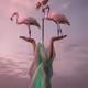 The ballet of life