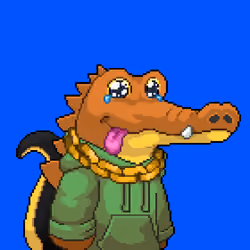 BasedCrocos