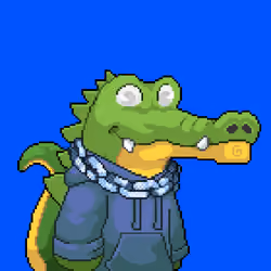 BasedCrocos