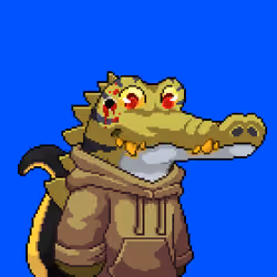 BasedCrocos