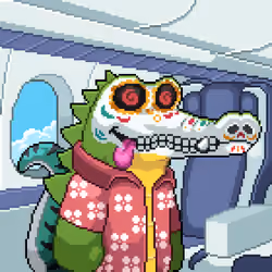 BasedCrocos