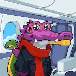 BasedCrocos