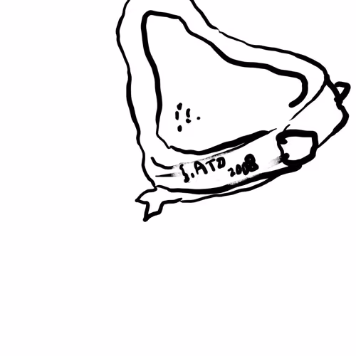 Rodeo posts