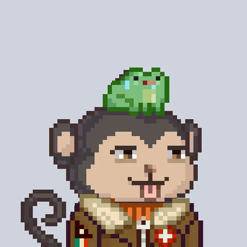 Monke Voyager