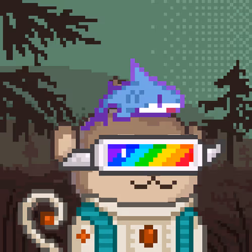 Monke Voyager