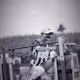 Rodeo posts