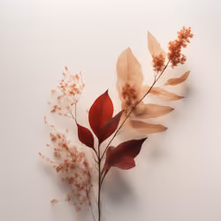Floral Minimalism #1