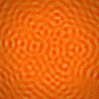 329