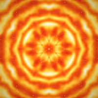 641